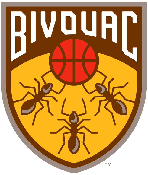 Bivouac 2019-Pres Primary Logo vinyl decal